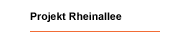 Projekt Rheinallee